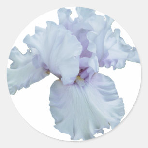 Iris Runt Klistermärke