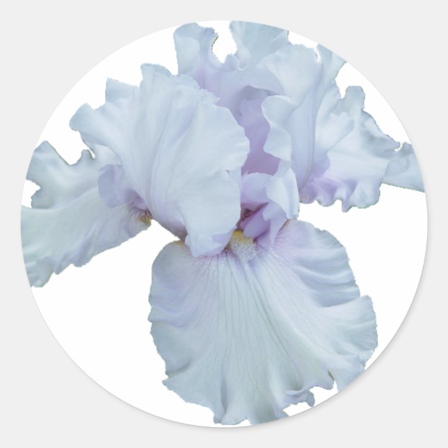 Iris Runt Klistermärke (Framsida)
