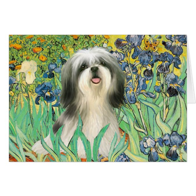 Iris - Shih Tzu (#3) Hälsningskort (Framsidan Horizontal)