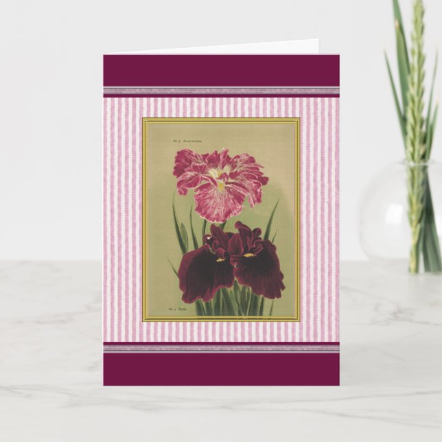 Iris Smiles Card Tack Kort (Framsida)
