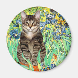 Iris - Tabby Tiger katt 30 Magnet
