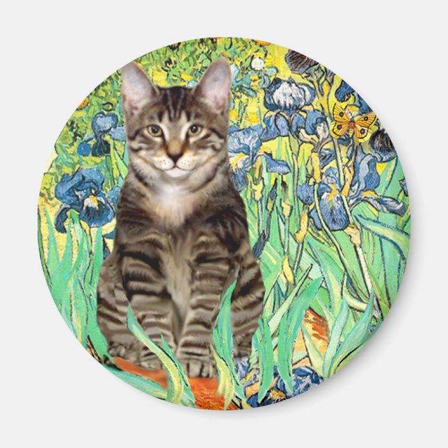 Iris - Tabby Tiger katt 30 Magnet (Framsidan)