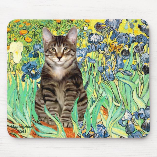 Iris - Tabby Tiger katt 30 Musmatta (Framsidan)