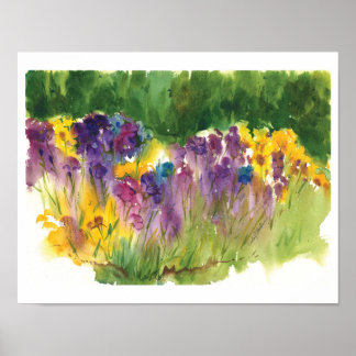 Iris trädgård akvarelltryck - 29 x 36 cm poster