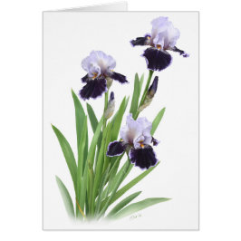 Iris Trio Hälsningskort