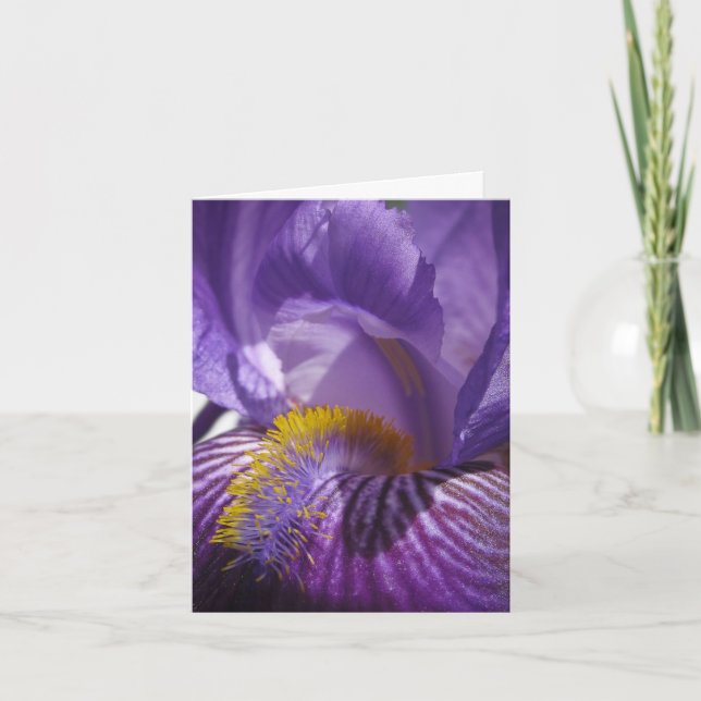 Iris' Tunga Kort (Framsida)