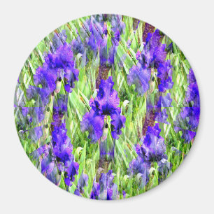 Iris Twirl.... Magnet
