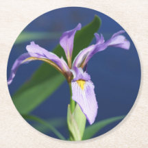 Iris Underlägg förpackning om 6 st