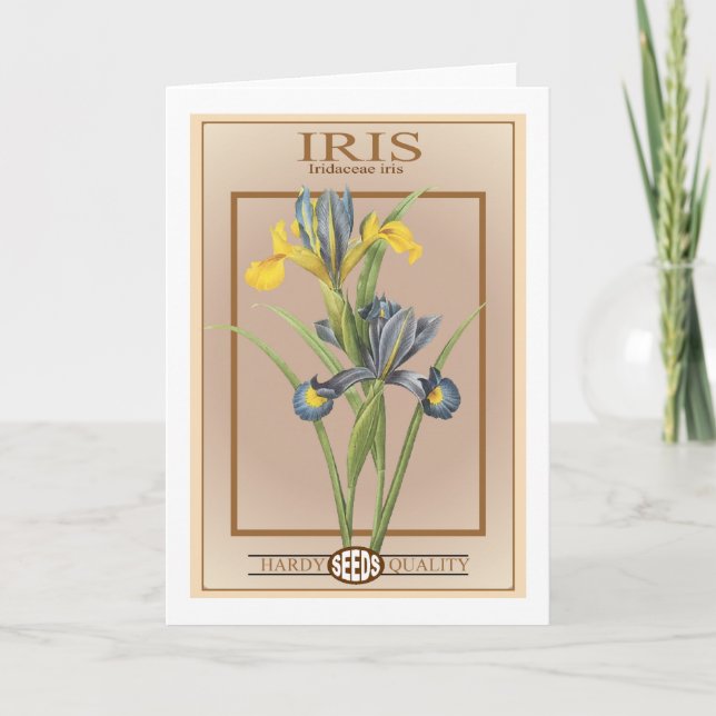 iris-utsädespaket kort (Framsida)