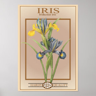 iris-utsädespaket poster