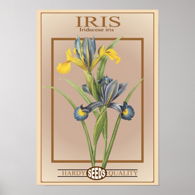 iris-utsädespaket poster (Framsidan)