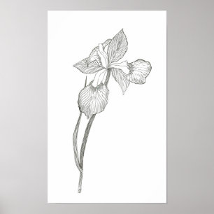 Iris-utskrift Poster