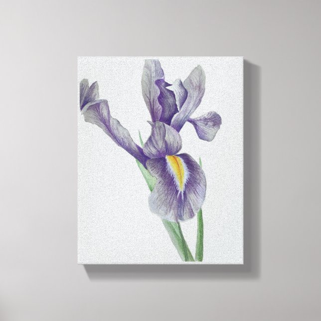 Iris utsträckt canvastryck (Framsida)