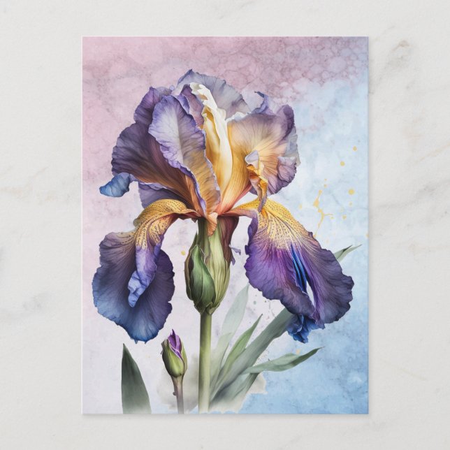 Iris Vykort (Framsida)