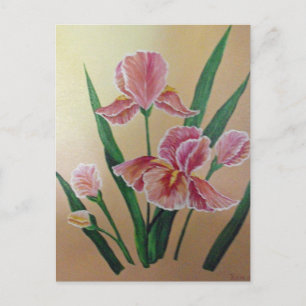 Iris-vykort Vykort