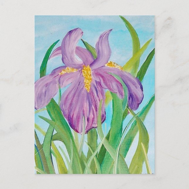 Iris-vykort Vykort (Framsida)