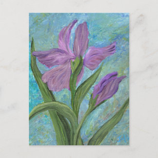 Iris-vykort Vykort