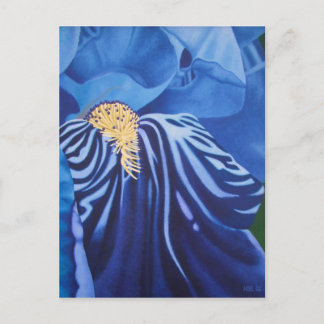 Iris-vykort Vykort