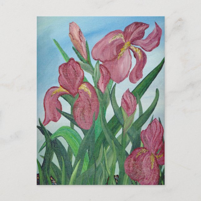 Iris-vykort Vykort (Framsida)