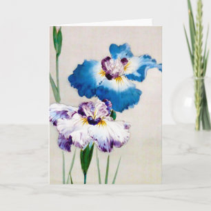 Iris, Watanabe Seitei Kort