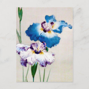Iris, Watanabe Seitei Vykort