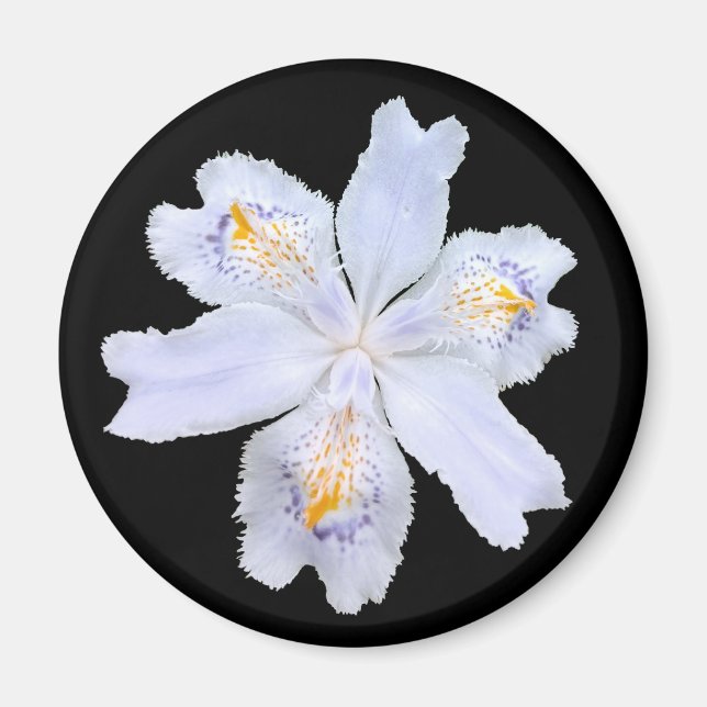 Iris White Magnet (Framsidan)