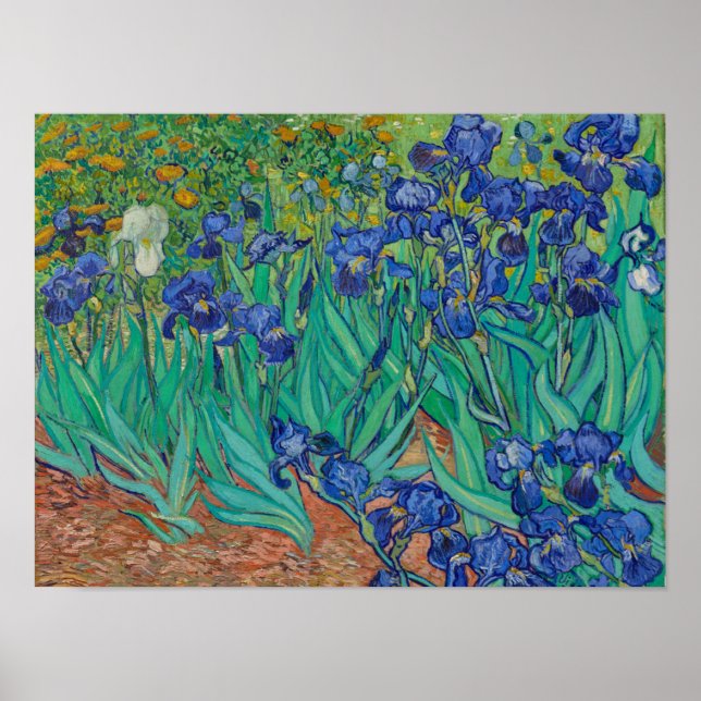 Irisar av Van Gogh Poster (Framsidan)
