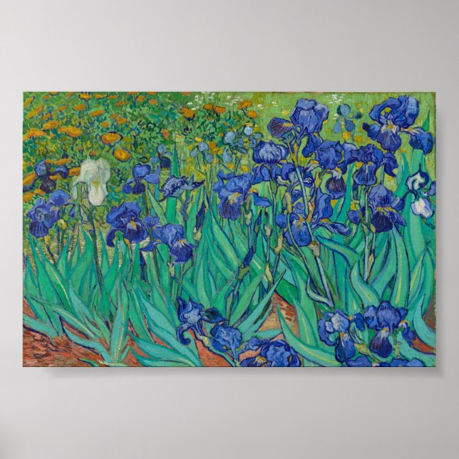 Irisar av Van Gogh Poster (Framsidan)