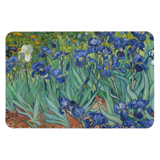 Irisar, Blommåleri i olja, Vincent Van Gogh Magnet (Horisontell)