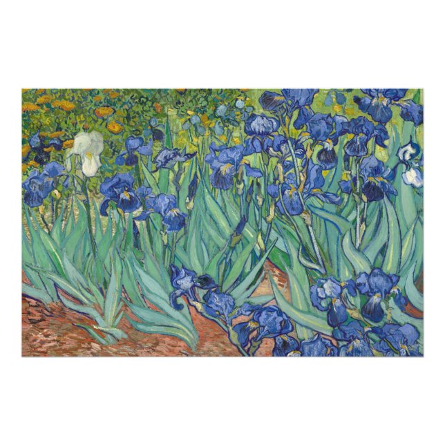 Irisar, Blommor Oljemålning, Vincent Van Gogh Fototryck (Framsidan)