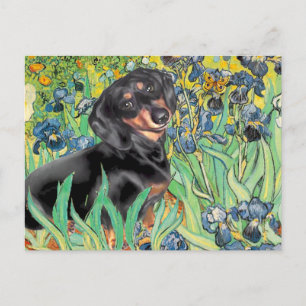 Irisar - Dachsund (BT4) Vykort