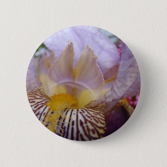 IRISAR IRIS Blommor KNAPPAR KNAPP Gåvor Blommig (Framsida)