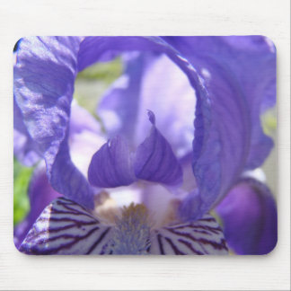 IRISAR lila blommor MUSMATTOR MUSMATTA