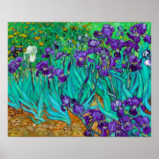 Irisar, Vincent van Gogh Poster