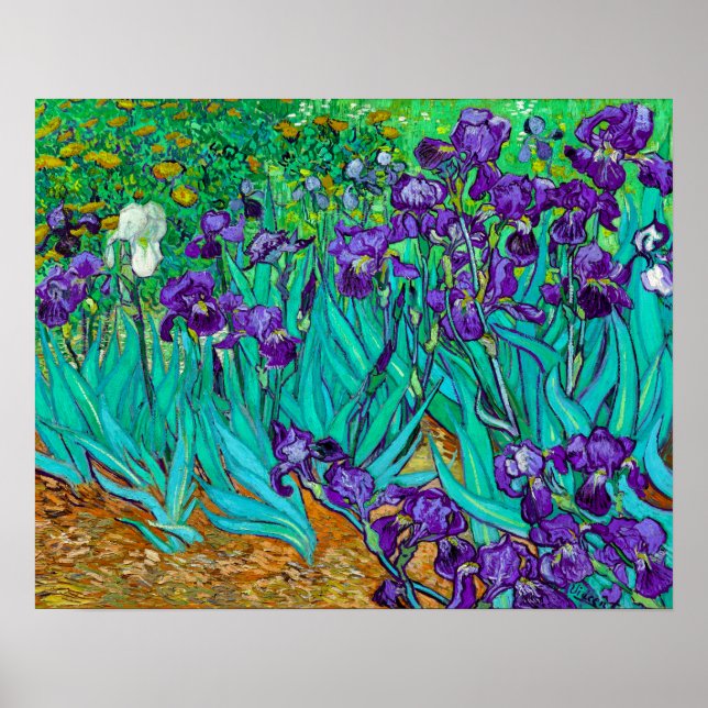Irisar, Vincent van Gogh Poster (Framsidan)