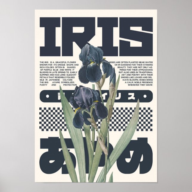 Irisblomma Botaniskt Konsttryck – Japansk Estetik Poster (Framsidan)