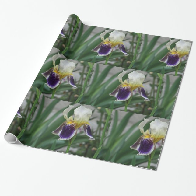 Irisblomma Foto Inpackningspapper Presentpapper (Utrullad)