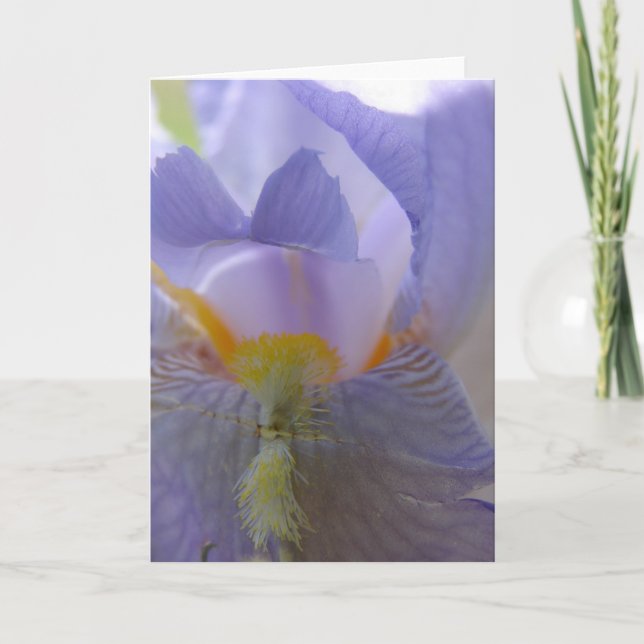 Irisblomma Kort (Framsida)