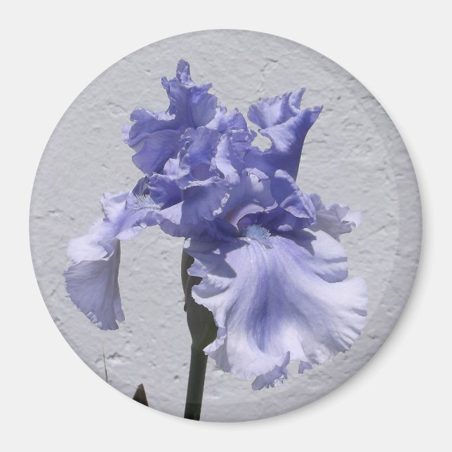 Irisblomma Magnet (Framsidan)