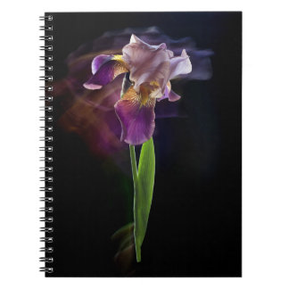 Irisblomma på svart bakgrund. Lång exponering. Anteckningsbok