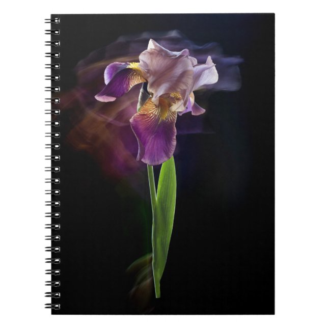 Irisblomma på svart bakgrund. Lång exponering. Anteckningsbok (Framsidan)