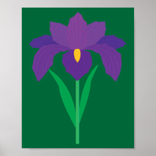 Irisblomma Poster