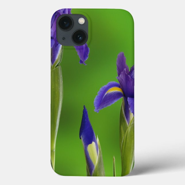 Irisblommor (Baksida)