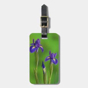 Irisblommor Bagagebricka