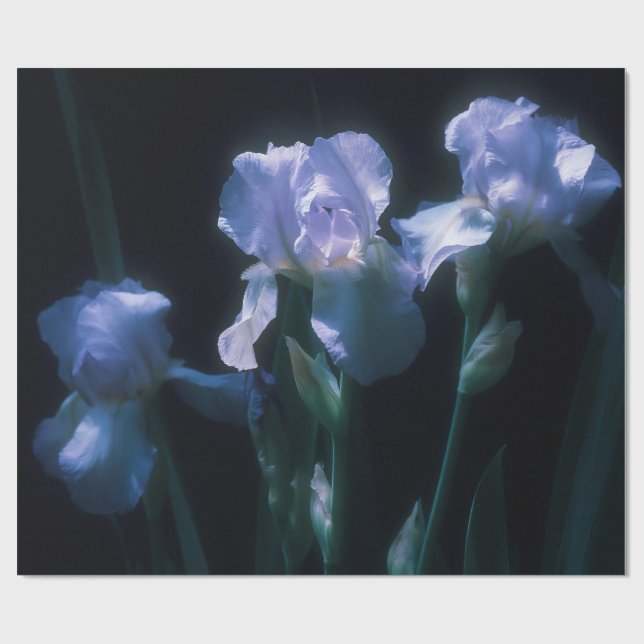 Irisblommor i skymningen presentpapper (Platt)
