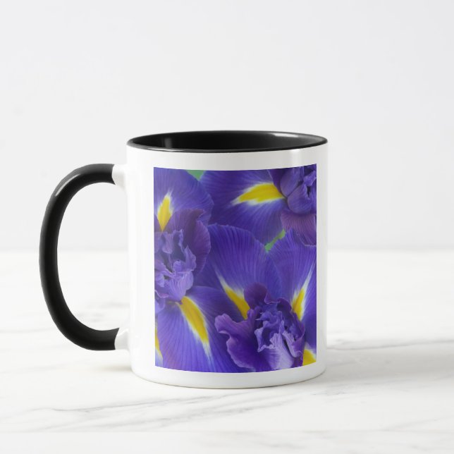 Irisblommor Mugg (Vänster)