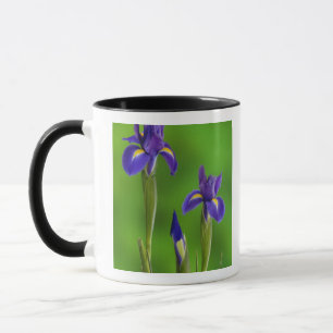 Irisblommor Mugg