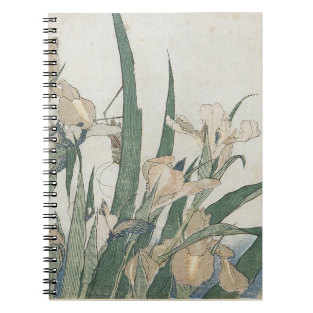 Irisblommor och gräshoppa, c.1830-31 anteckningsbok (Framsidan)