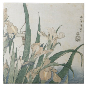Irisblommor och gräshoppa, c.1830-31 kakelplatta