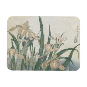 Irisblommor och gräshoppa, c.1830-31 magnet